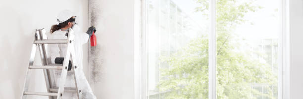 Best Mold Prevention Services  in Monson Center, MA
